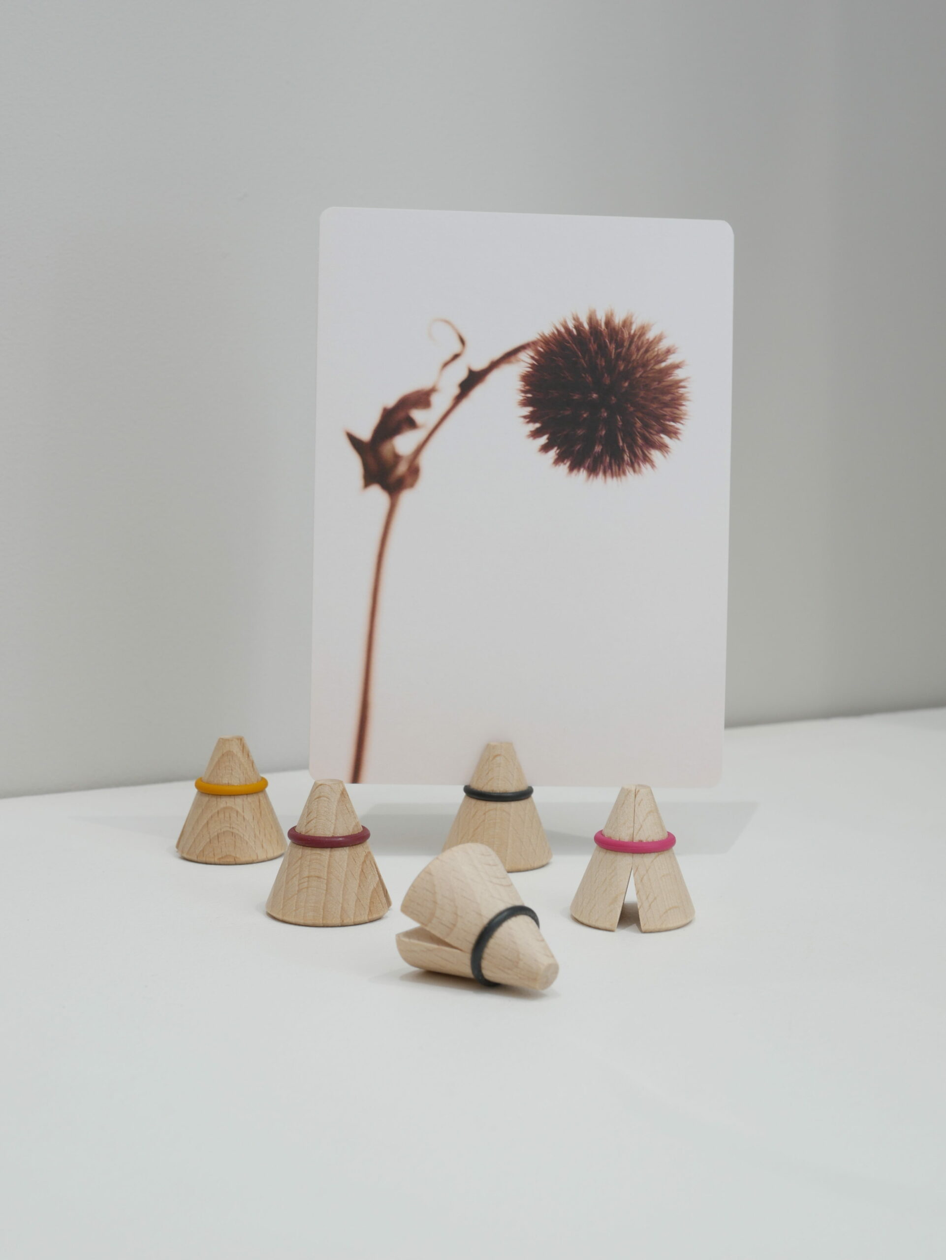Pinces_i-cone_toutsimplement_linatelier_nantes_lot de 3 pinces pour photo ou cadre_hetre_madeinfrance_ensemble