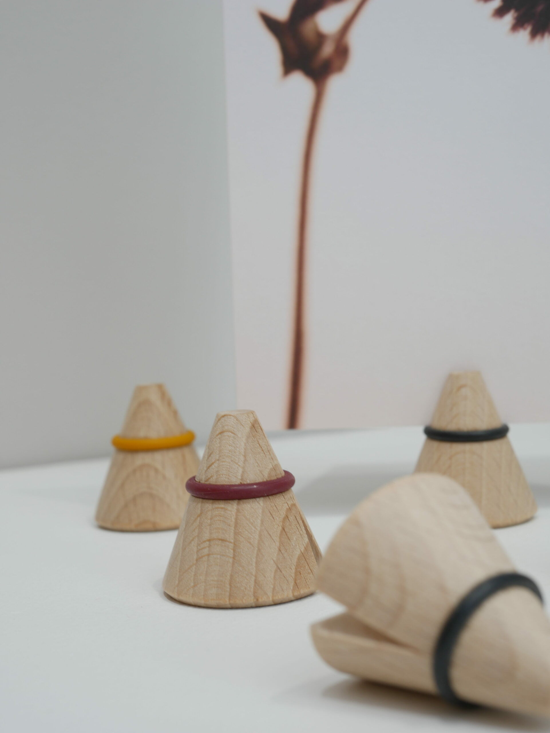 Pinces_i-cone_toutsimplement_linatelier_nantes_lot de 3 pinces pour photo ou cadre_hetre_madeinfrance_détail couleur