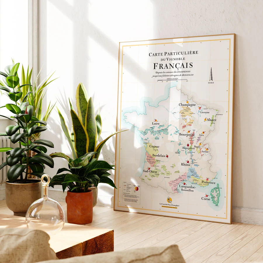 Affiche - La carte des vins de France - 50 x 70cm – Image 3