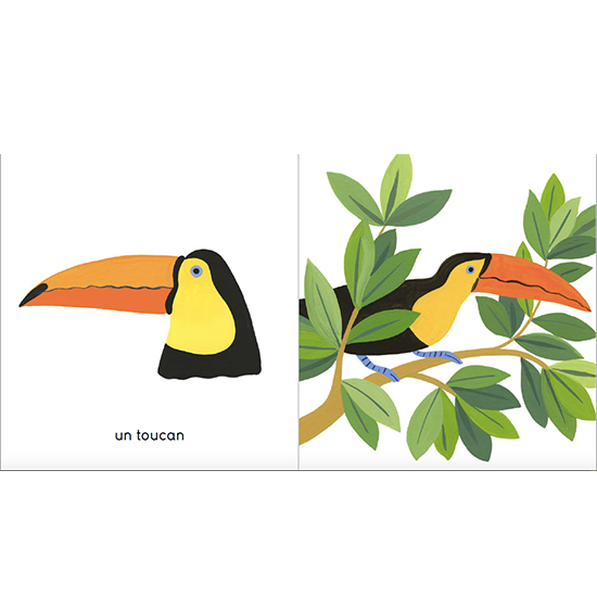 livre enfant_edition jeunesse_maison_Eliza_Couverture-Petits-et-grands-de-la-jungle-Agathe singer_illustratrice_l'inatelier_nantes_made in france_ dès 6 mois_livre bébé_graphique_couleurs_apprentissage_cartonné_550x550_détail illustration_double page_toucan