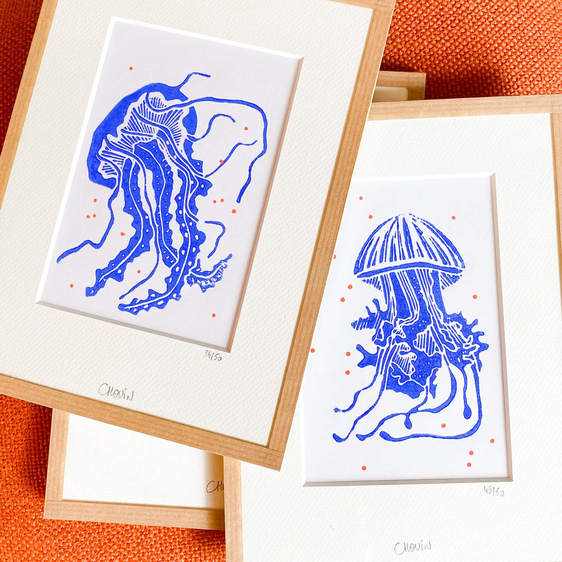 Linogravure-méduses