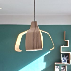 Suspension-noyau-éclaté-cote